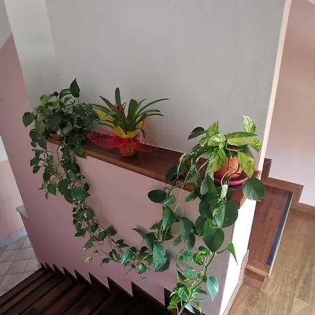 Daire La Casa Di Lucia *