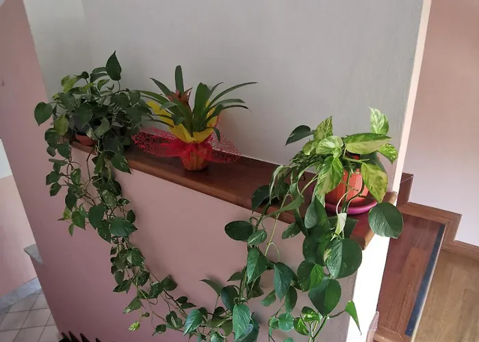 아파트 La Casa Di Lucia *